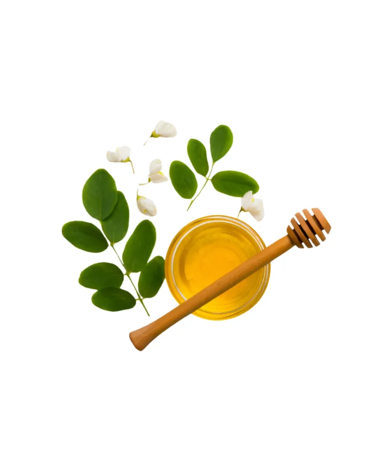 Okaliptus Yağı Görünümü