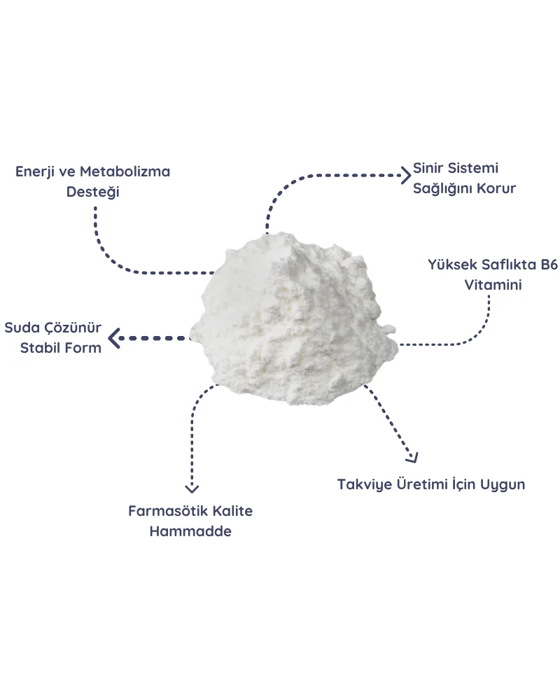 B6 Vitamin Piridoksin Kullanımı