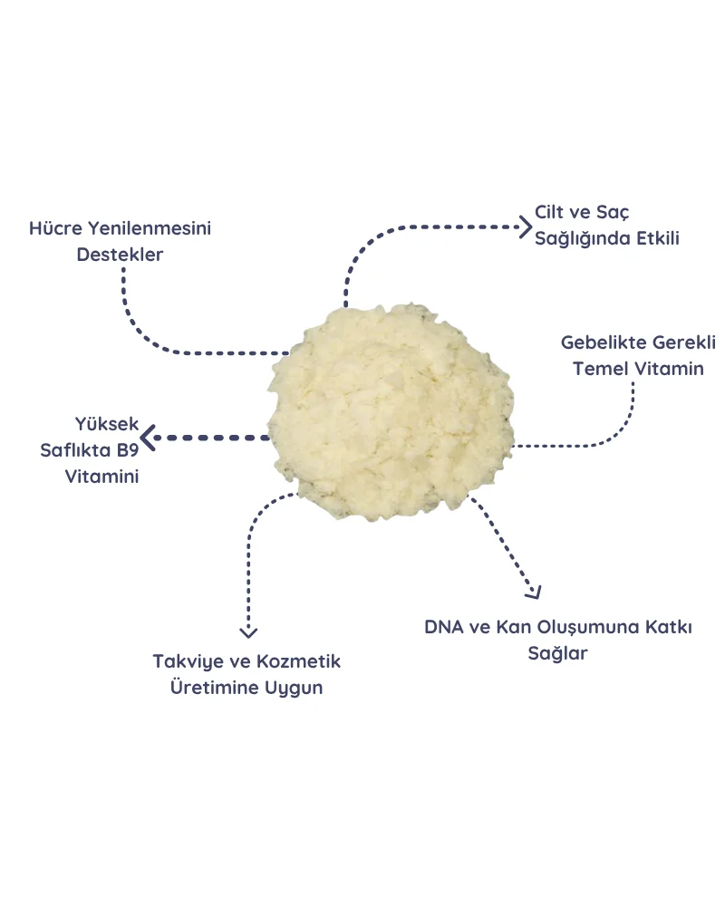 Folik Asit Vitamin B9 Kullanım