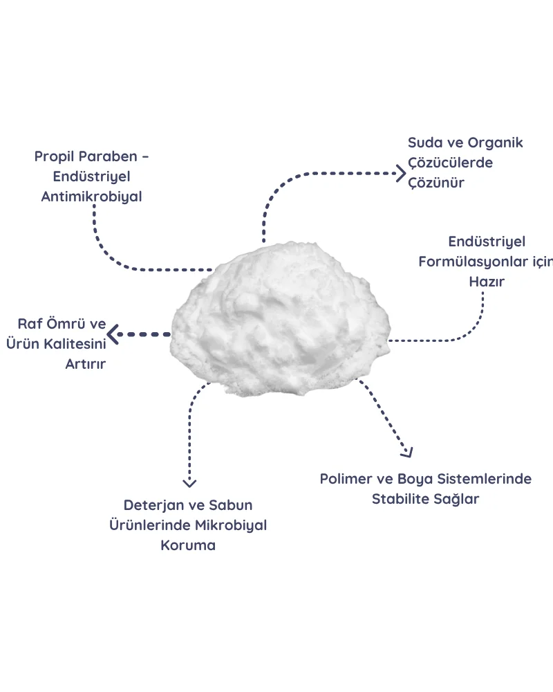 Propil Paraben Kullanımı
