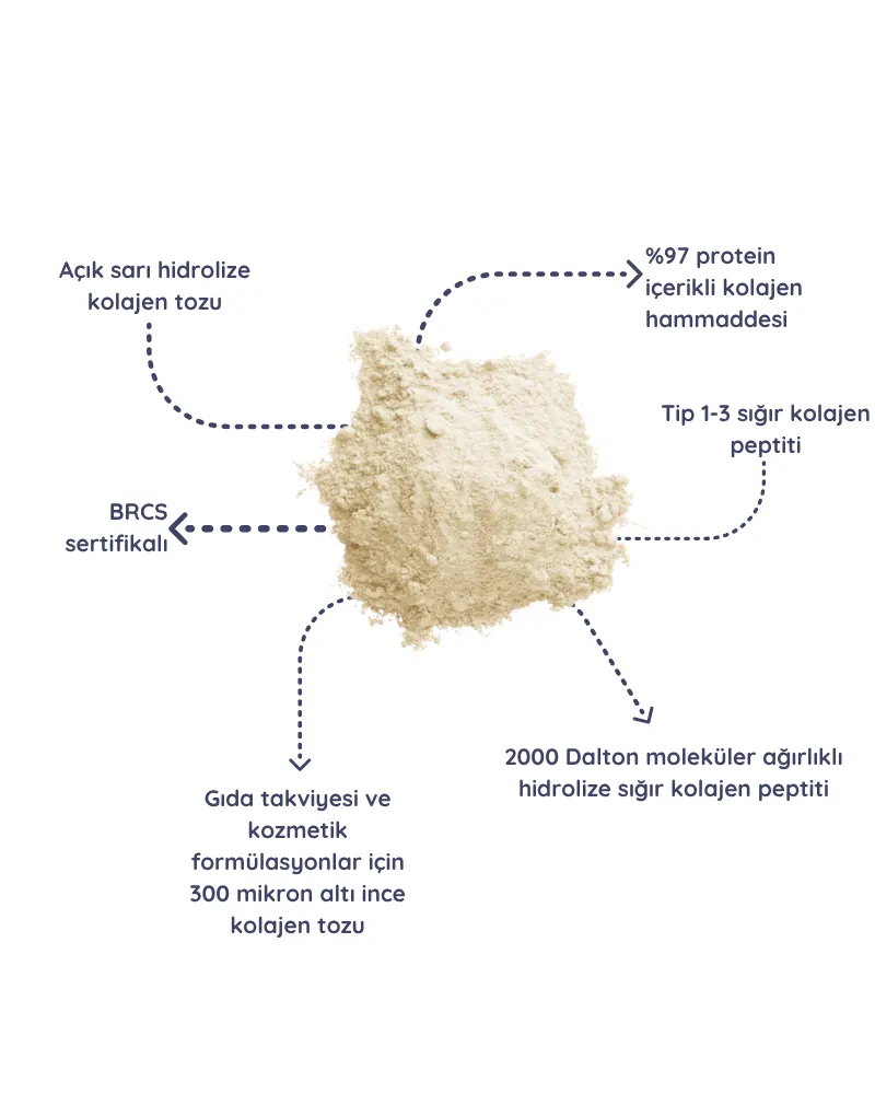 Kolajen Hammadde