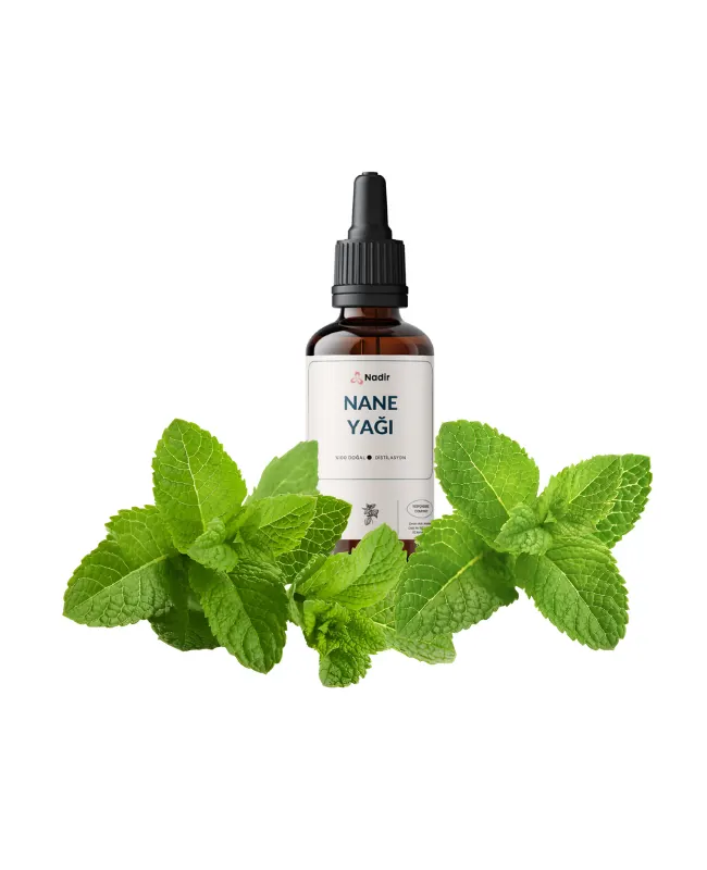 Spearmint Yağı
